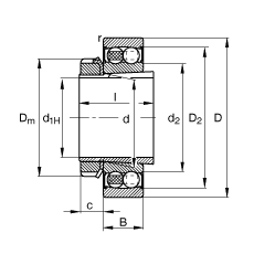 {S 2210-K-2RS-TVH-C3 + H310, (j) DIN 630  DIN 5415 ˜ʵҪߴ, F׺;oɂȴܷ